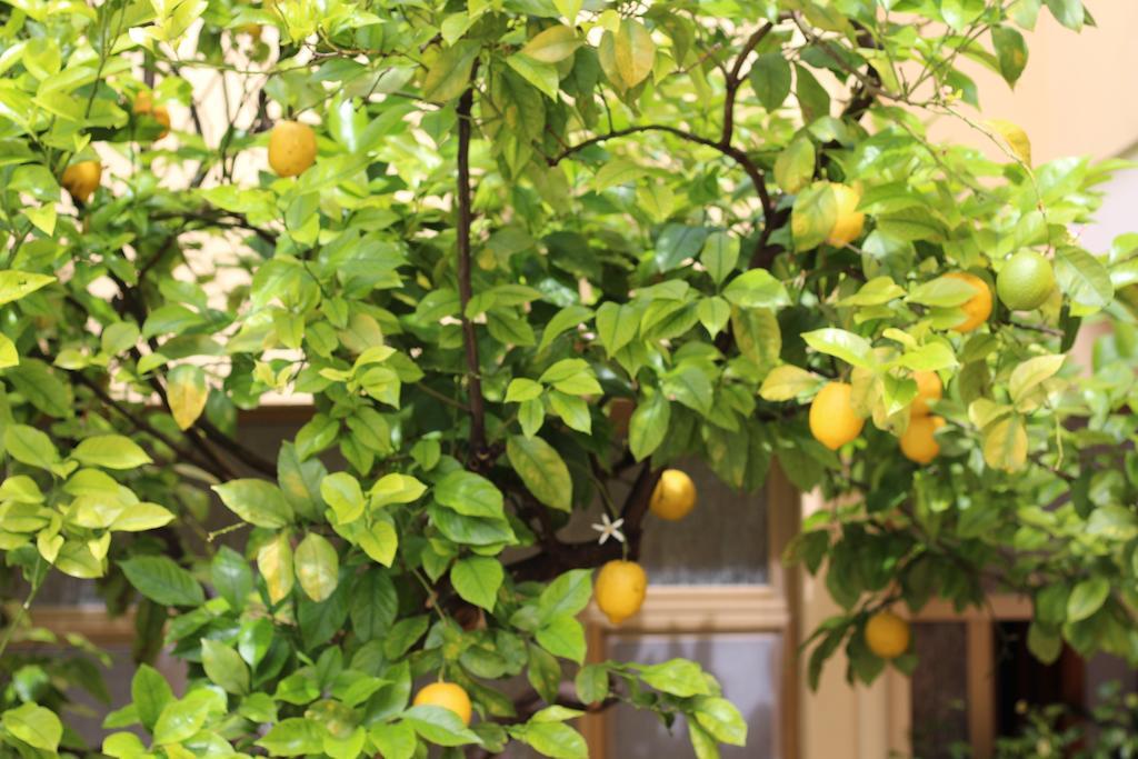 Bed and Breakfast Fiori E Limoni Куартуччу Екстер'єр фото